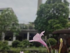 -广州市紫泥堂文化创意园景区
