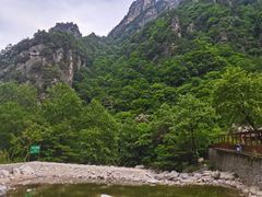 -青峰峡国家森林公园