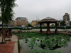 -雁滩公园