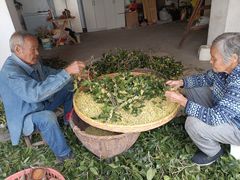 -苏州市吴中区光福窑上花果蜜饯厂