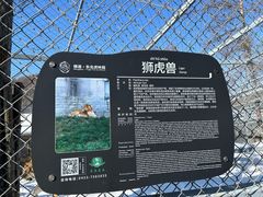 -横道河子东北虎林园