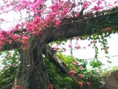 -祥源·阜阳生态乐园