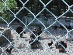 -南京金牛湖风景区