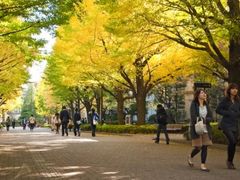 -学习谷日语培训日本留学·多语种外语教学(西单宣武分部)
