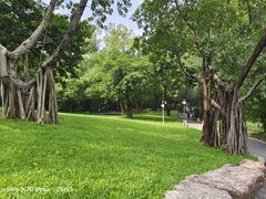 -晓港公园