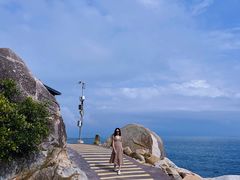 -广东惠东海龟国家级自然保护区