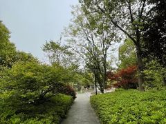 -苏州太湖国家湿地公园