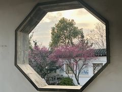 -八大山人梅湖景区