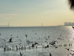 -深圳湾公园(南山区)