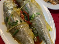 -蛇口康乐快餐鱼仔档(翠苑小区店)