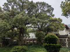 -普陀山雷迪森庄园