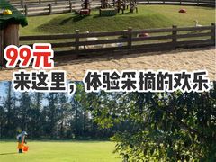 -前小桔亲子创意农场·草莓采摘·露营烧烤