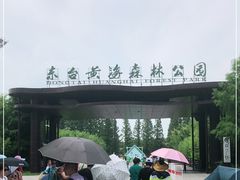 -黄海国家森林公园