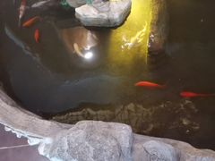 -鸥迪足道(湖南示范店)