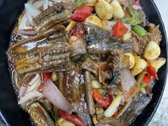 红烧土黄鳝-又见炊烟私房菜(敬亭路店)