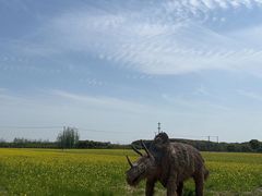 -嘉北郊野公园