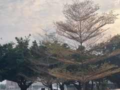 -星巴克臻选(广州二沙岛文立方店)