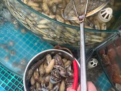 -仙螺岛海鲜自助餐厅(总店)