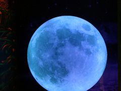 -重庆梵高星空艺术馆(解放碑旗舰店)