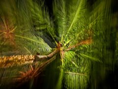 -曼谷王子宫殿酒店