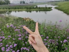 -洋湖国家湿地公园