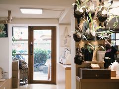 -本無咖啡·BeanWood Coffee