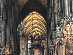 -斯蒂芬主教座堂(Stephansdom)