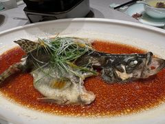 清蒸大桂鱼-绿杨春·淮扬宴(庐山路店)