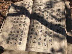 -茅兰沟国家森林公园