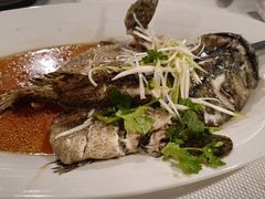 -珍宝海鲜(东海岸海鲜中心)