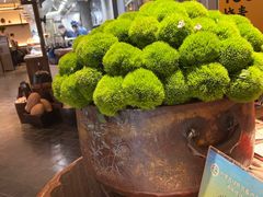 -老绥元烧麦·家常菜(大召店)