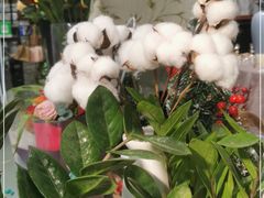 -何兮花店·气球派对鲜花店(马桥银春路万科城店)