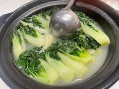 -春满园·早茶·粤菜·宴会(喜宴店)