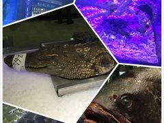 -海鼎荟海鲜姿造(晋江宝龙店)