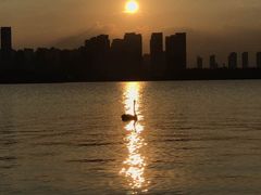 -天鹅湖体育公园