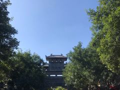 -老槐树煎包
