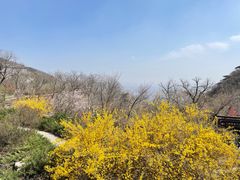 -天津盘山风景名胜区
