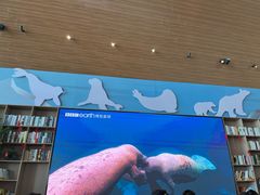-抱抱地球咖啡馆(国家海洋博物馆店)
