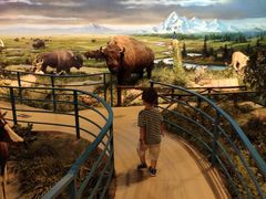 -陕西自然博物馆