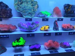 -湖南省地质博物馆