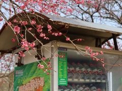 -原乡小镇度假乐园