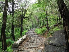 -阳台山自然风景区