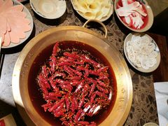 -小龙坎火锅(全球总店)