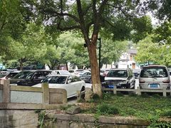 -欣怡茶庄·始于1999(梅家坞店)