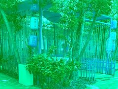 -陶缘一号·四季缘·老字号顺德菜·户外婚礼家宴(西滘店)