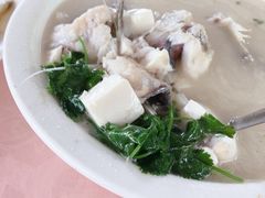 -天鹿湖森林公园