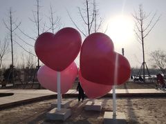 -东郊湿地公园