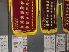 -中农国际动物医院24小时·猫科·骨科·急重症中心