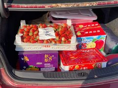 -西郊国际农产品交易中心