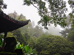 -莫干山风景区
